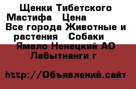 Щенки Тибетского Мастифа › Цена ­ 90 000 - Все города Животные и растения » Собаки   . Ямало-Ненецкий АО,Лабытнанги г.